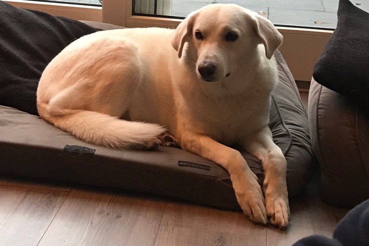 Blanca