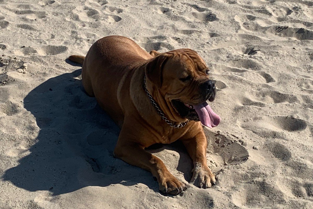Boerdeaux