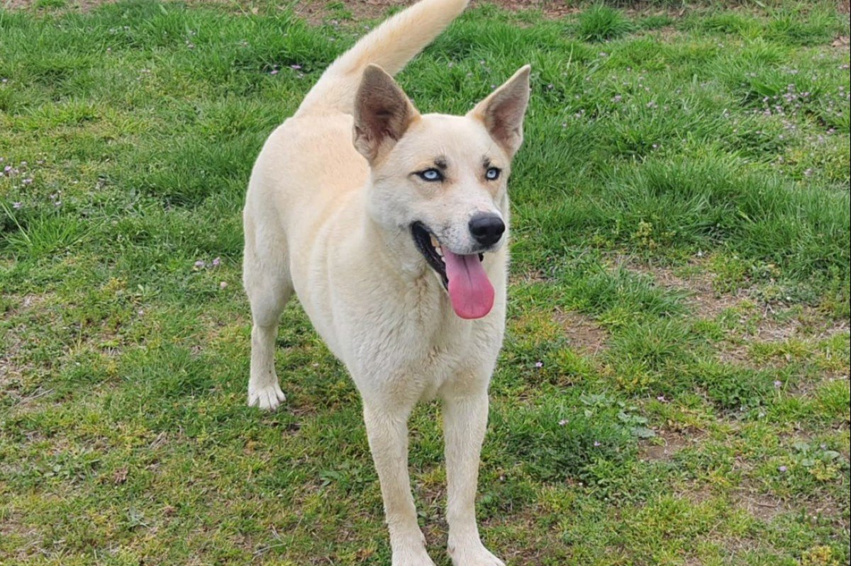 Max