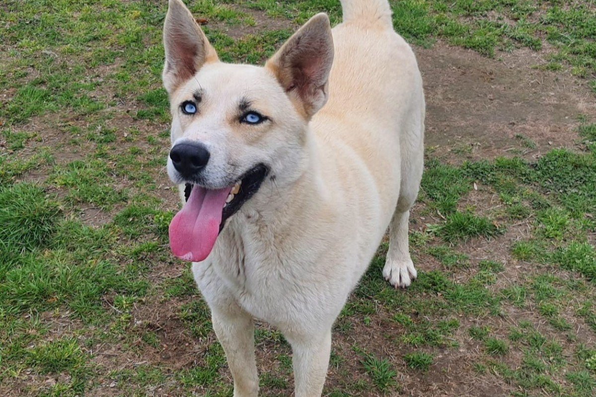 Max