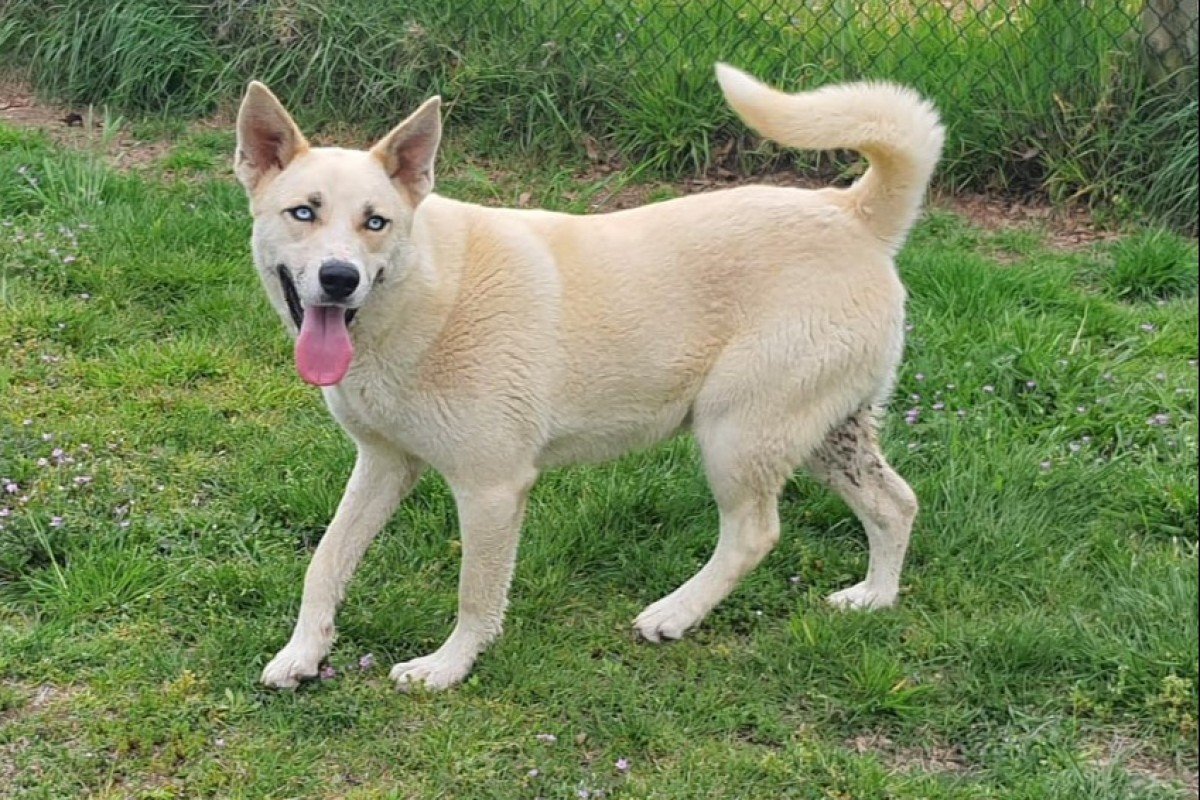 Max