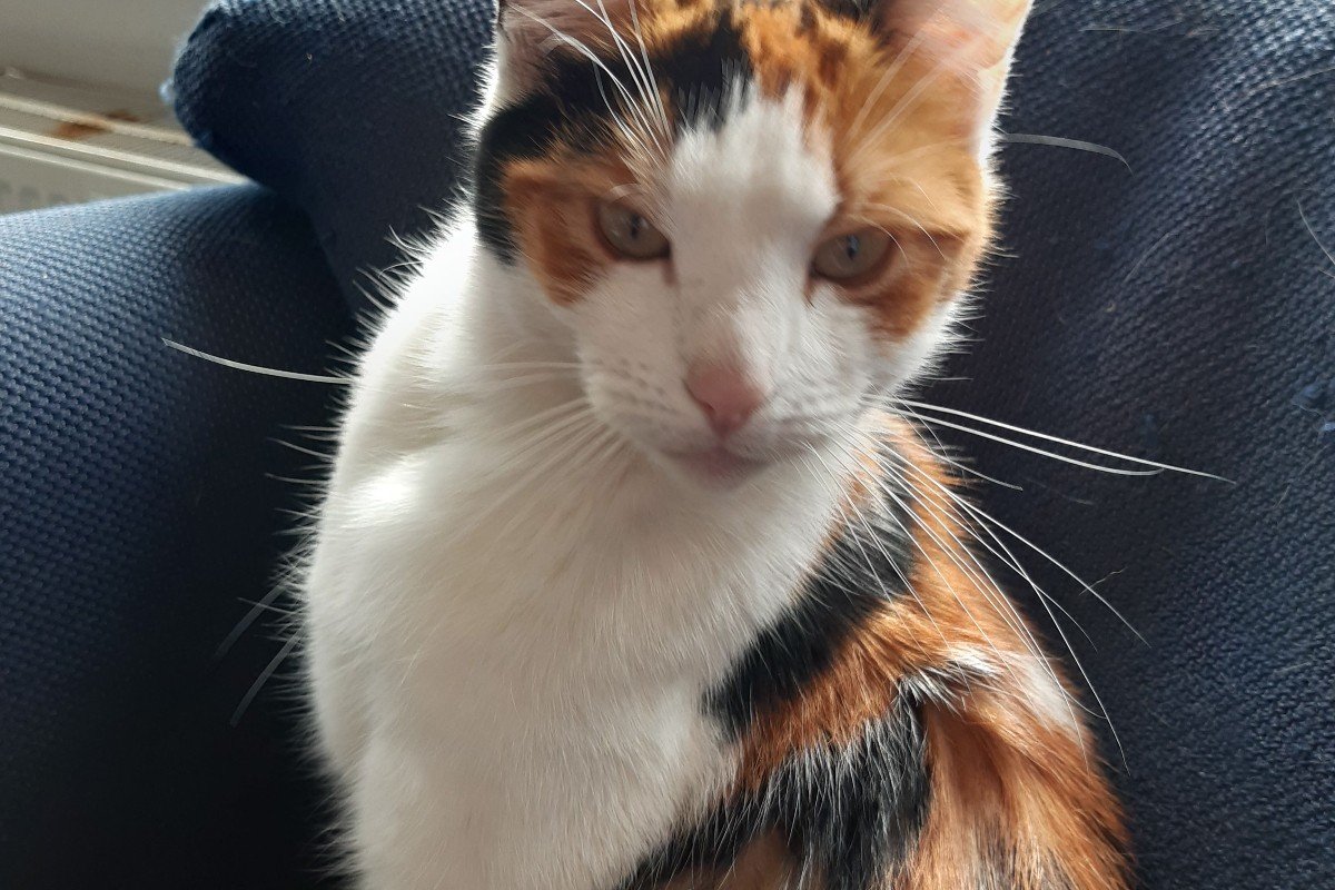 Marley
