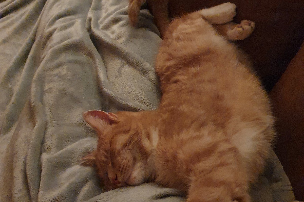 Penny (Poekie)