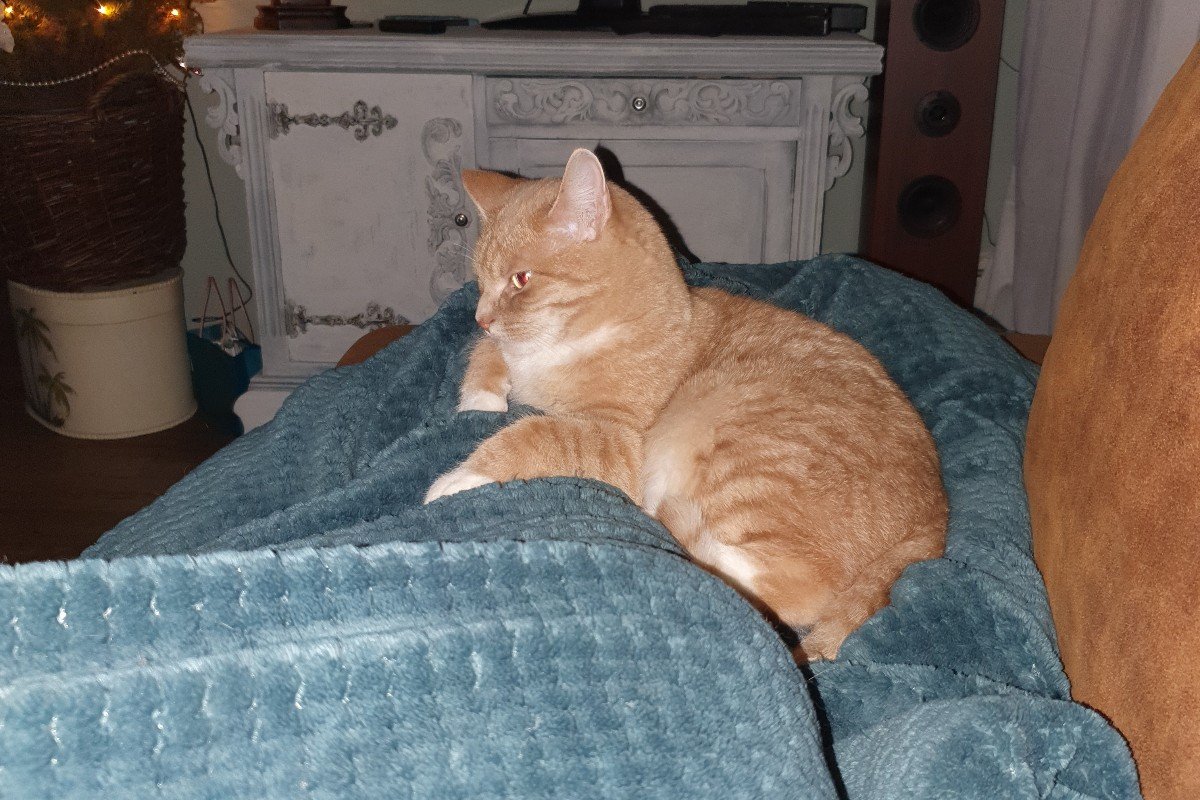 Penny (Poekie)