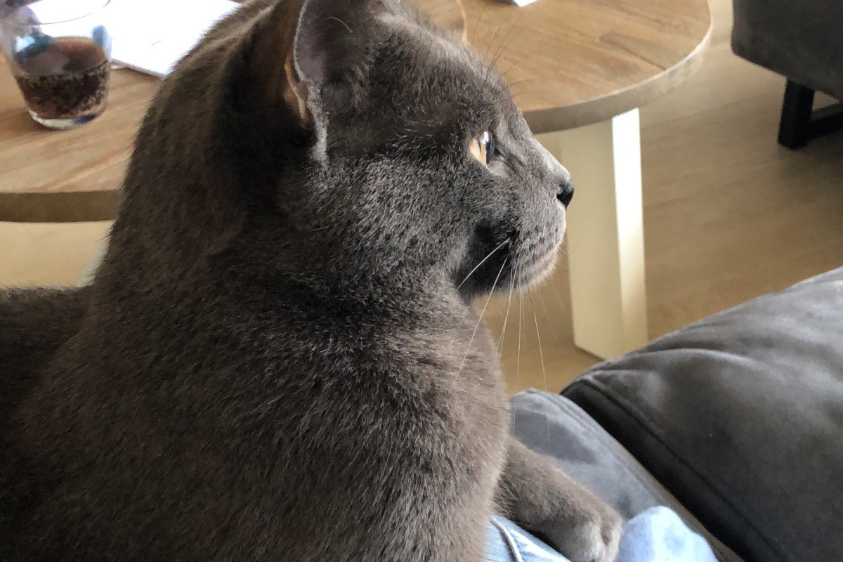 Luuk