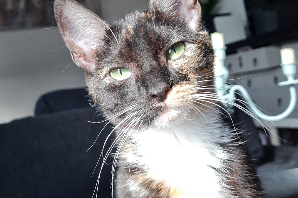 Yuki