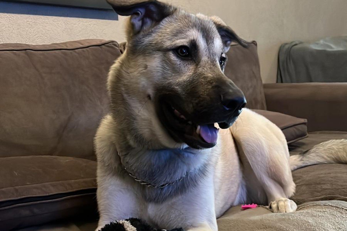 Pablo