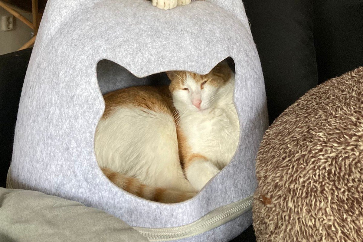 Angel