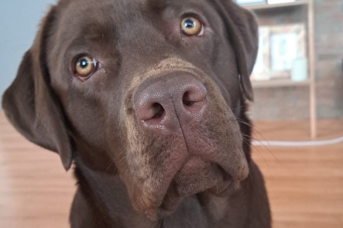 Nora