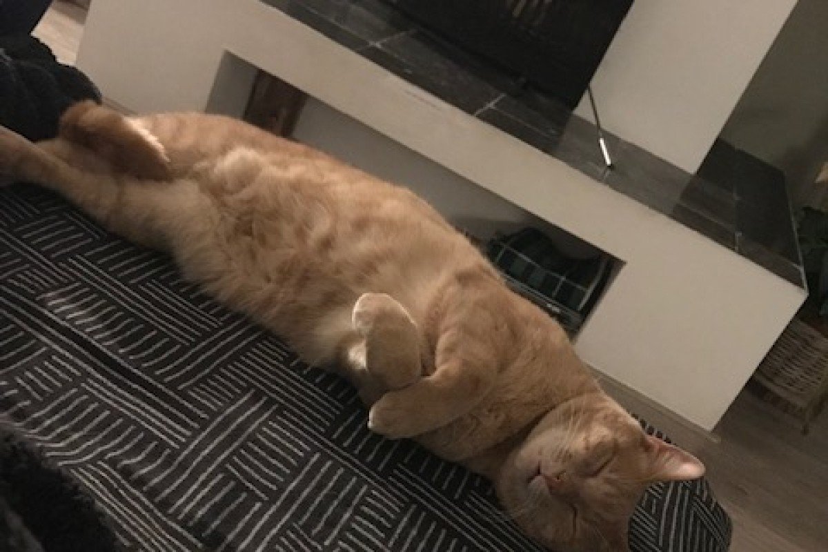 Ravi