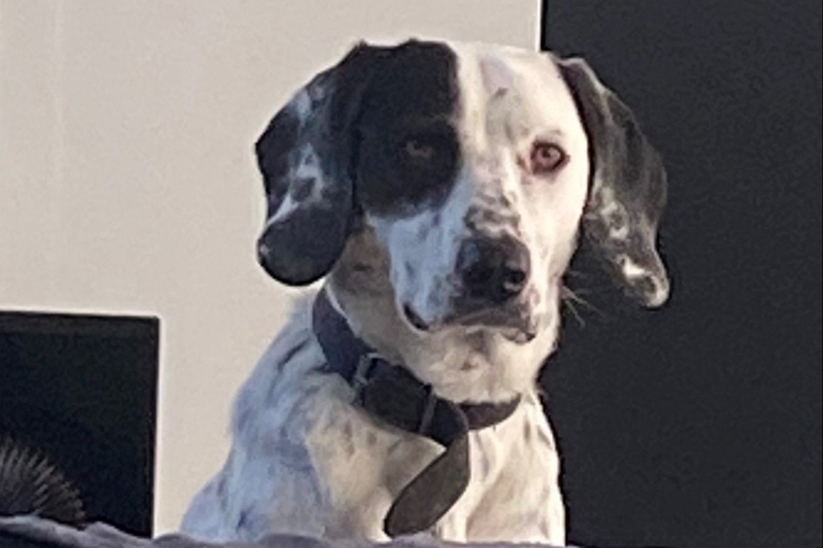 Charlie