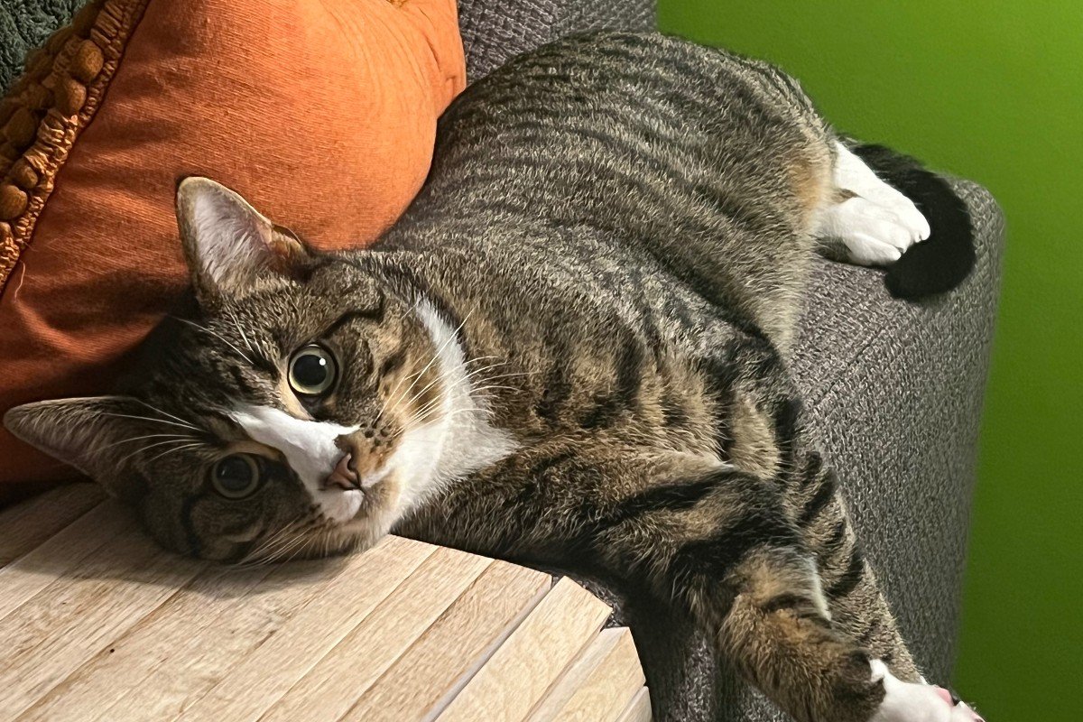 Sam