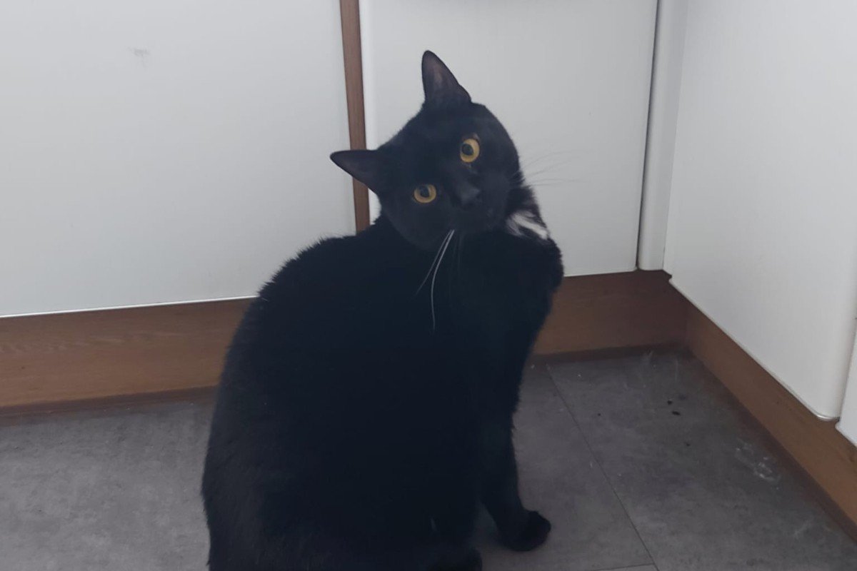 Nacho