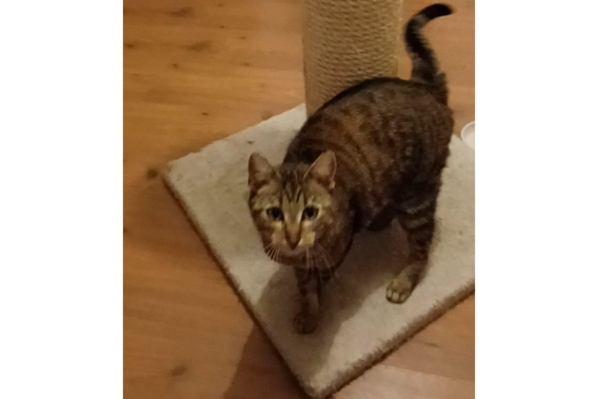 Blikkie