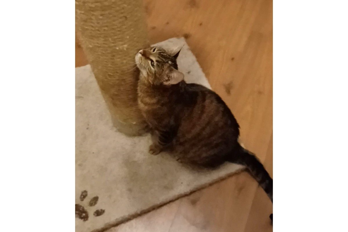 Blikkie