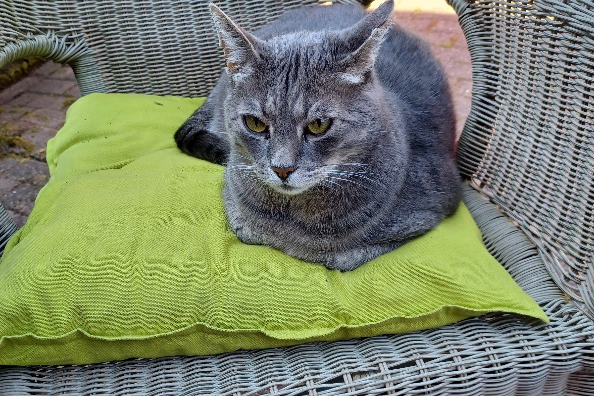 Droppie