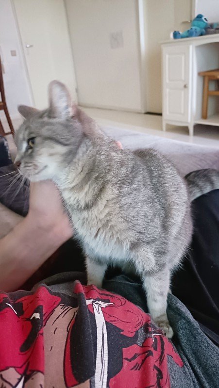 Zoey
