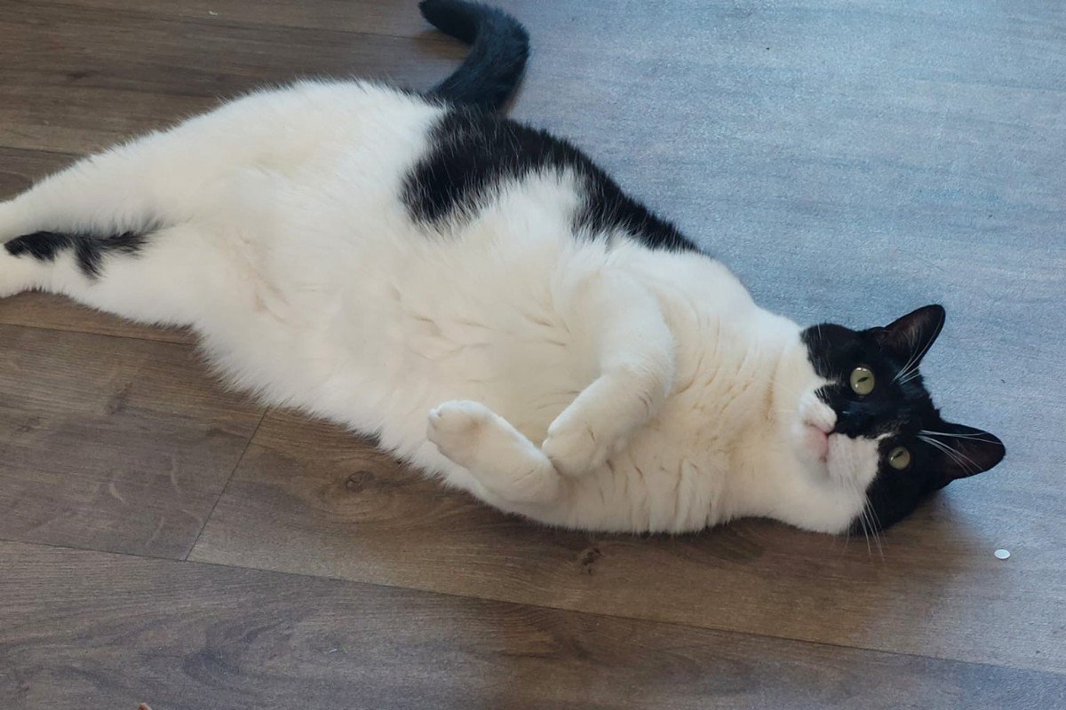 Tom