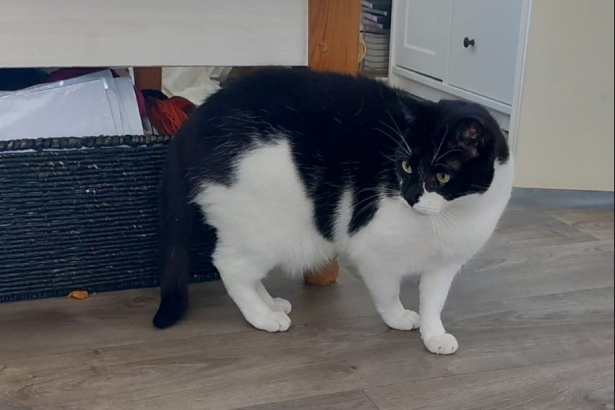 Tom