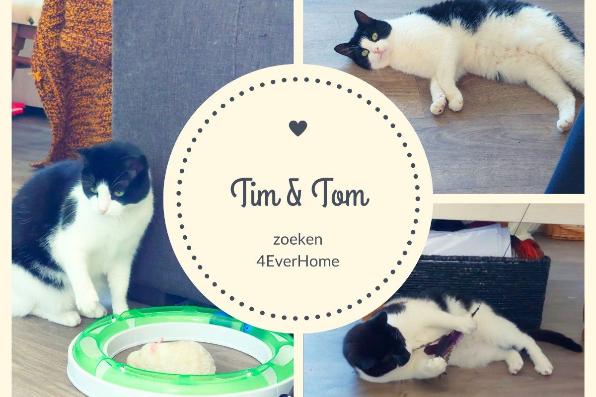 Tom