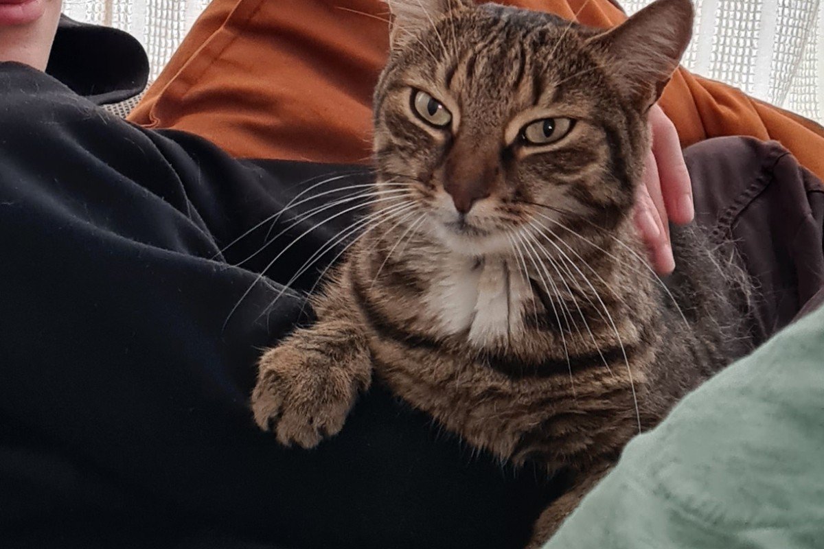 Isa
