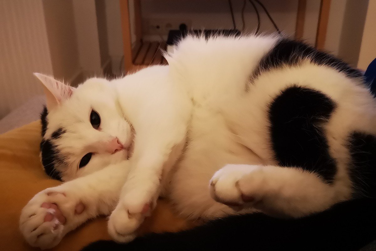 Django