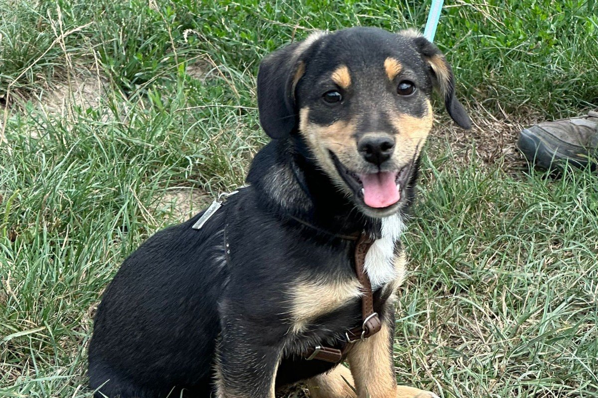 Mateo
