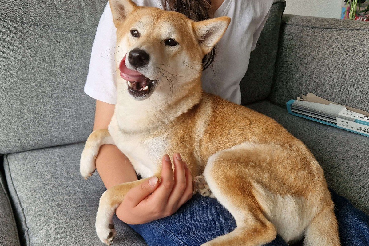 Yoshi
