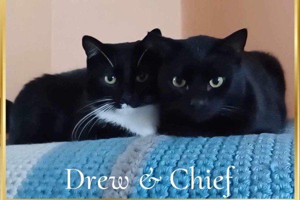 Drew