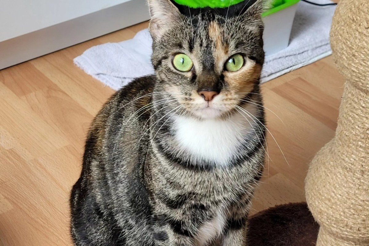 Leia