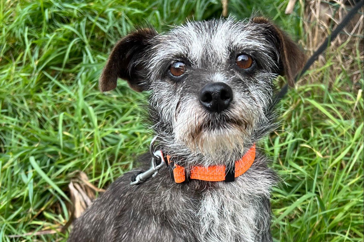 Maggie