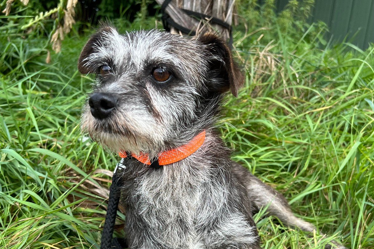 Maggie