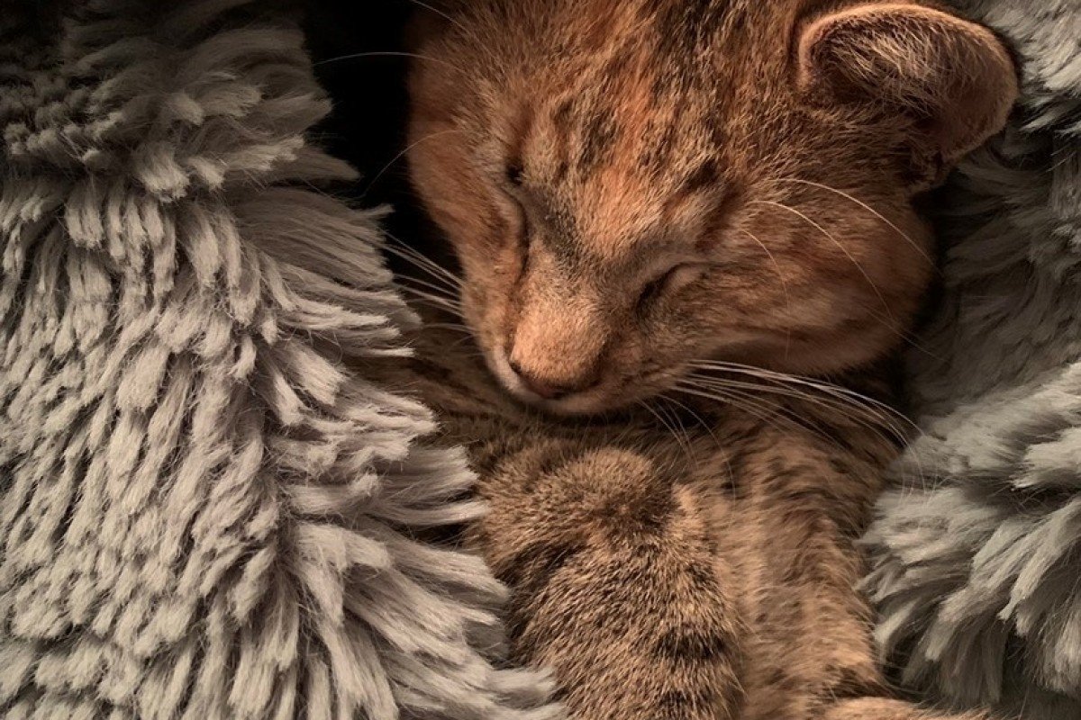 Gillian (Jilly)