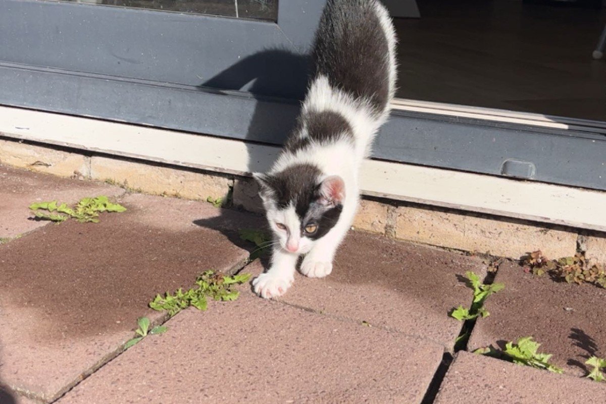 Mia
