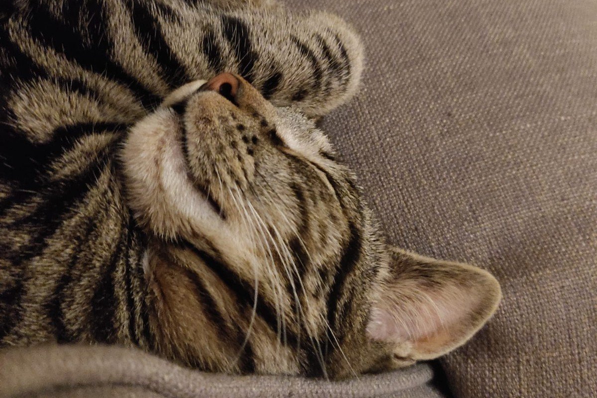 Lilly