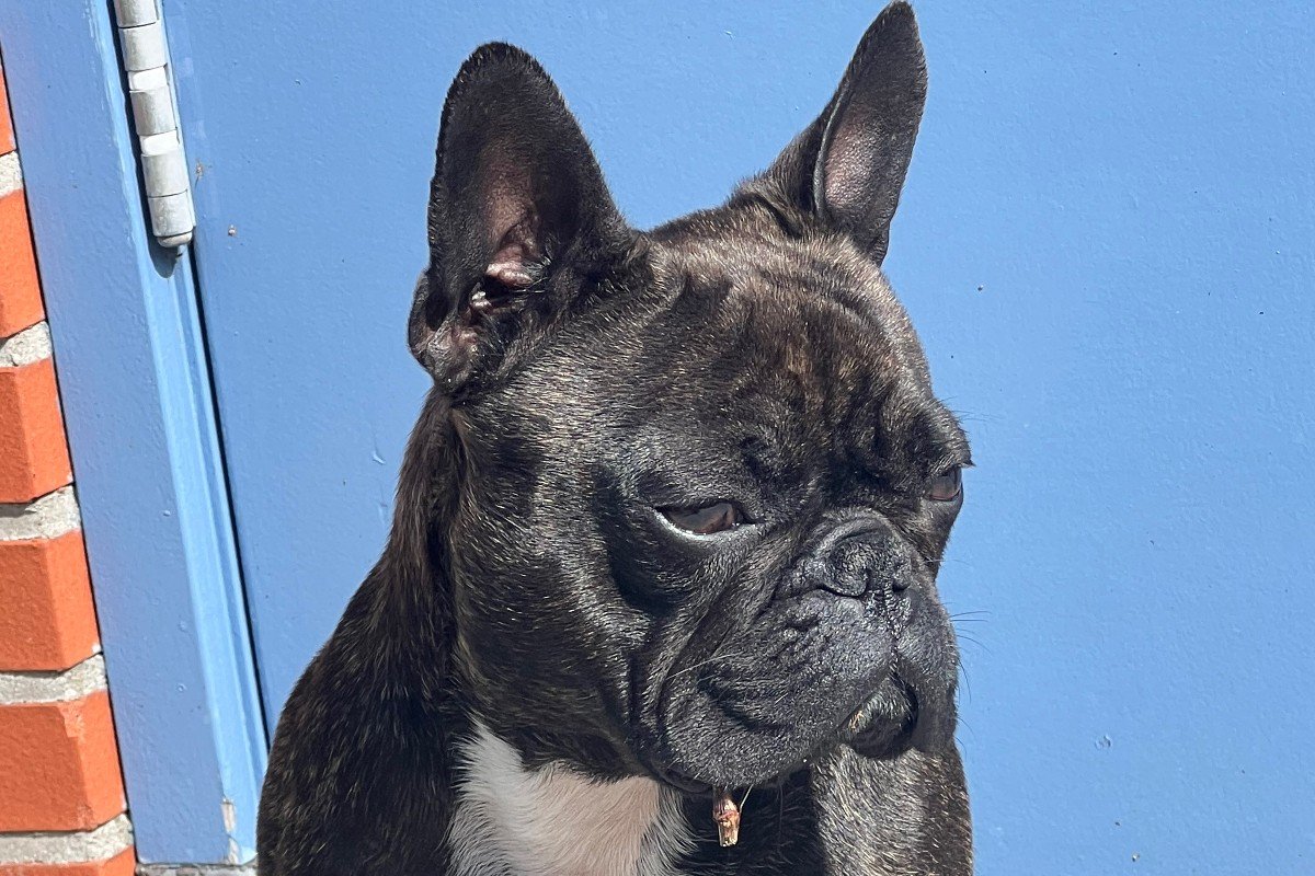 Lucy