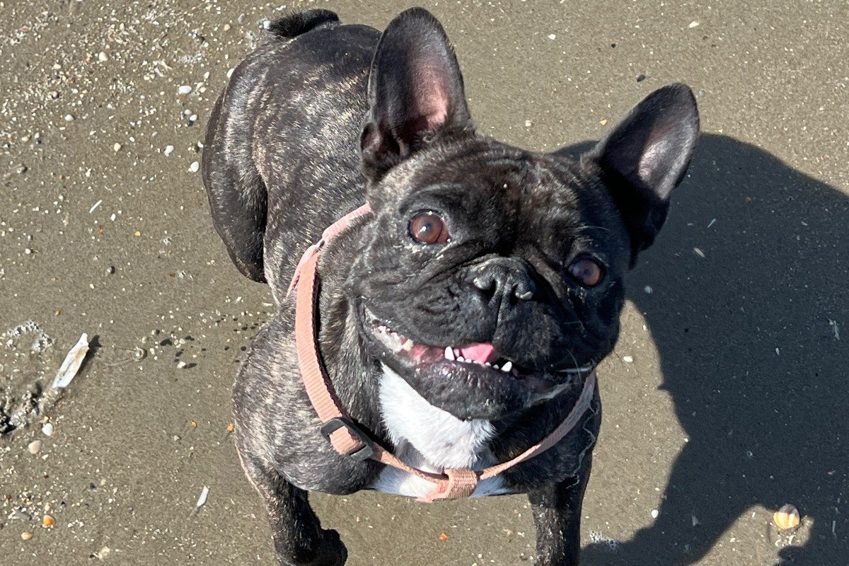 Lucy