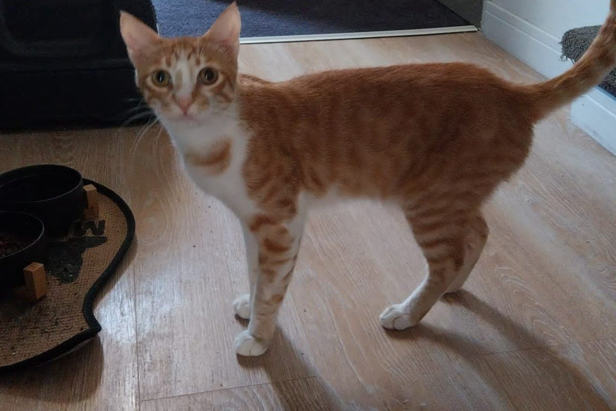 Jimmy