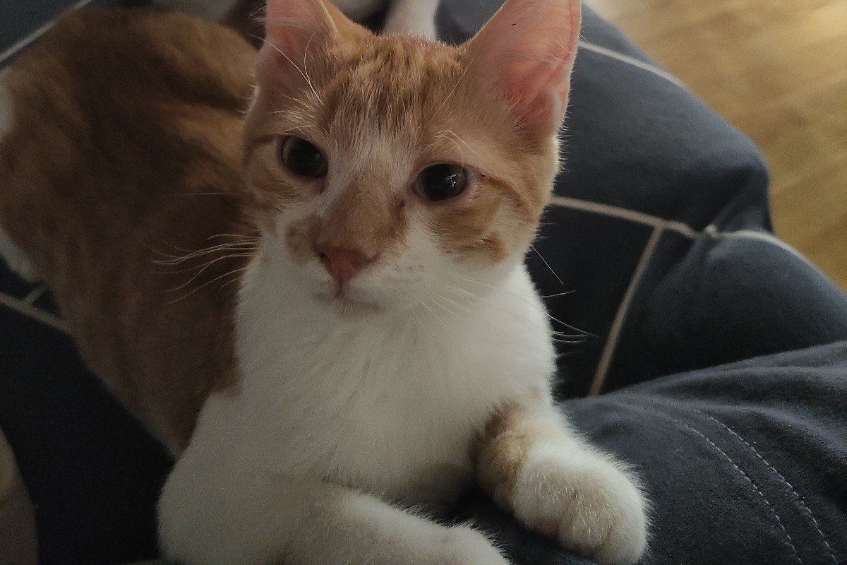 Mili