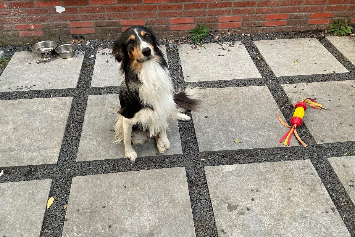 Rocky