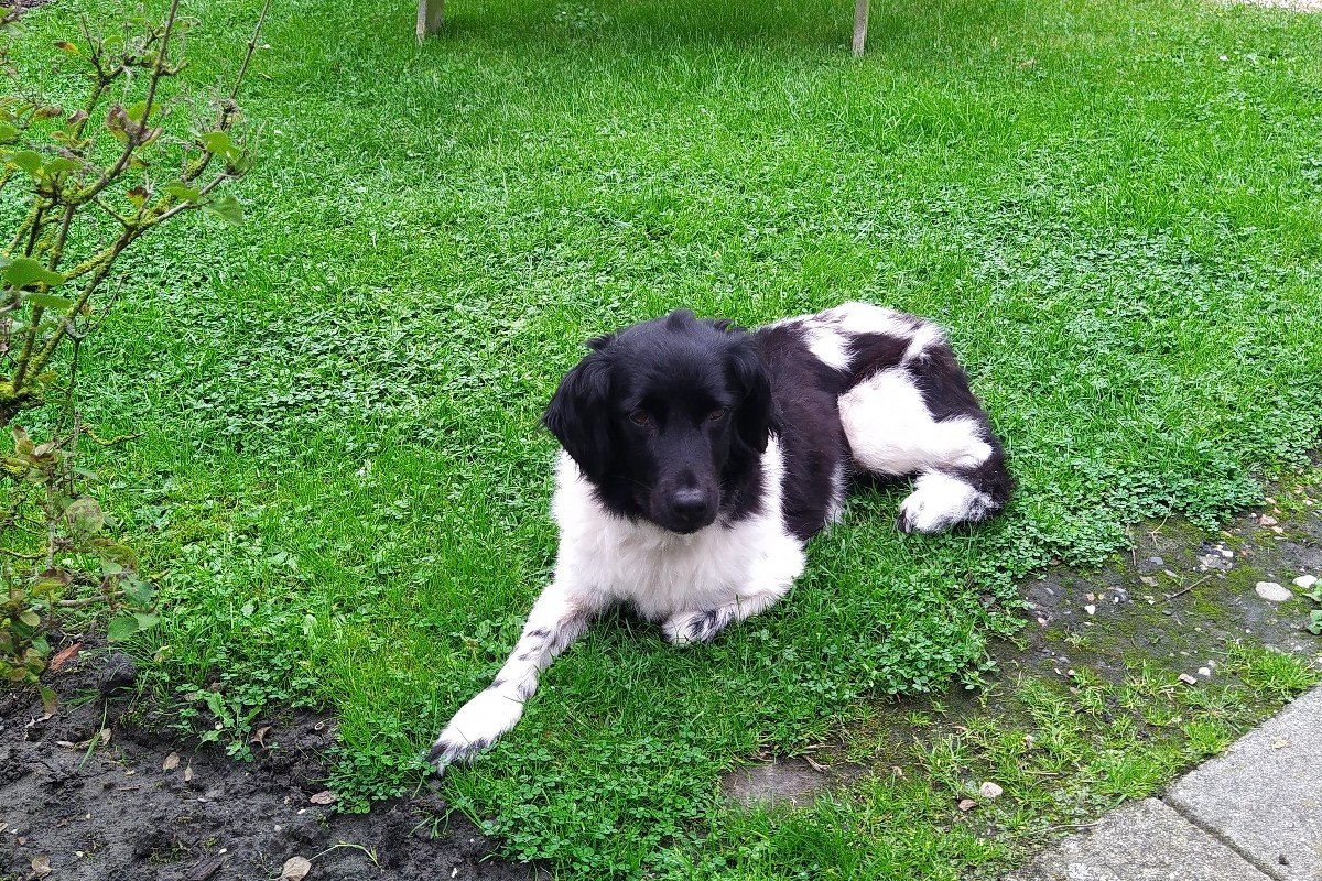 Bijke