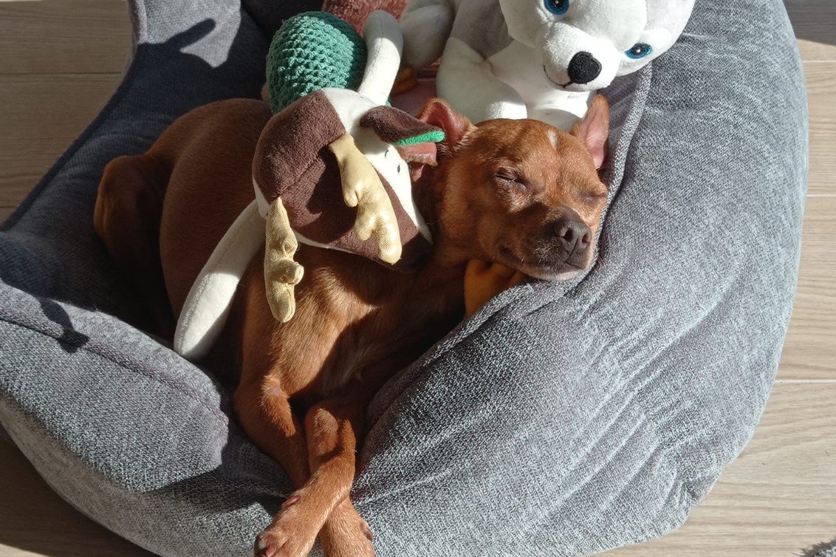 Sam