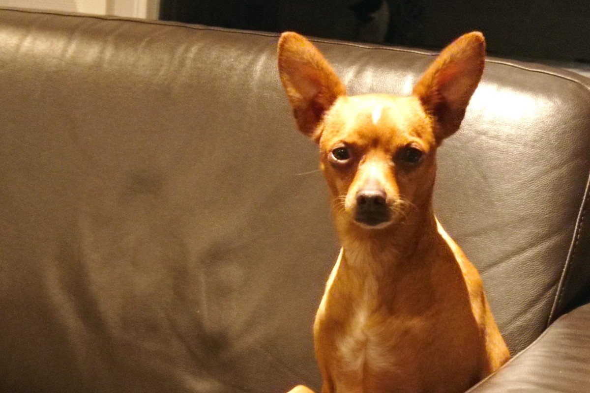 Sam