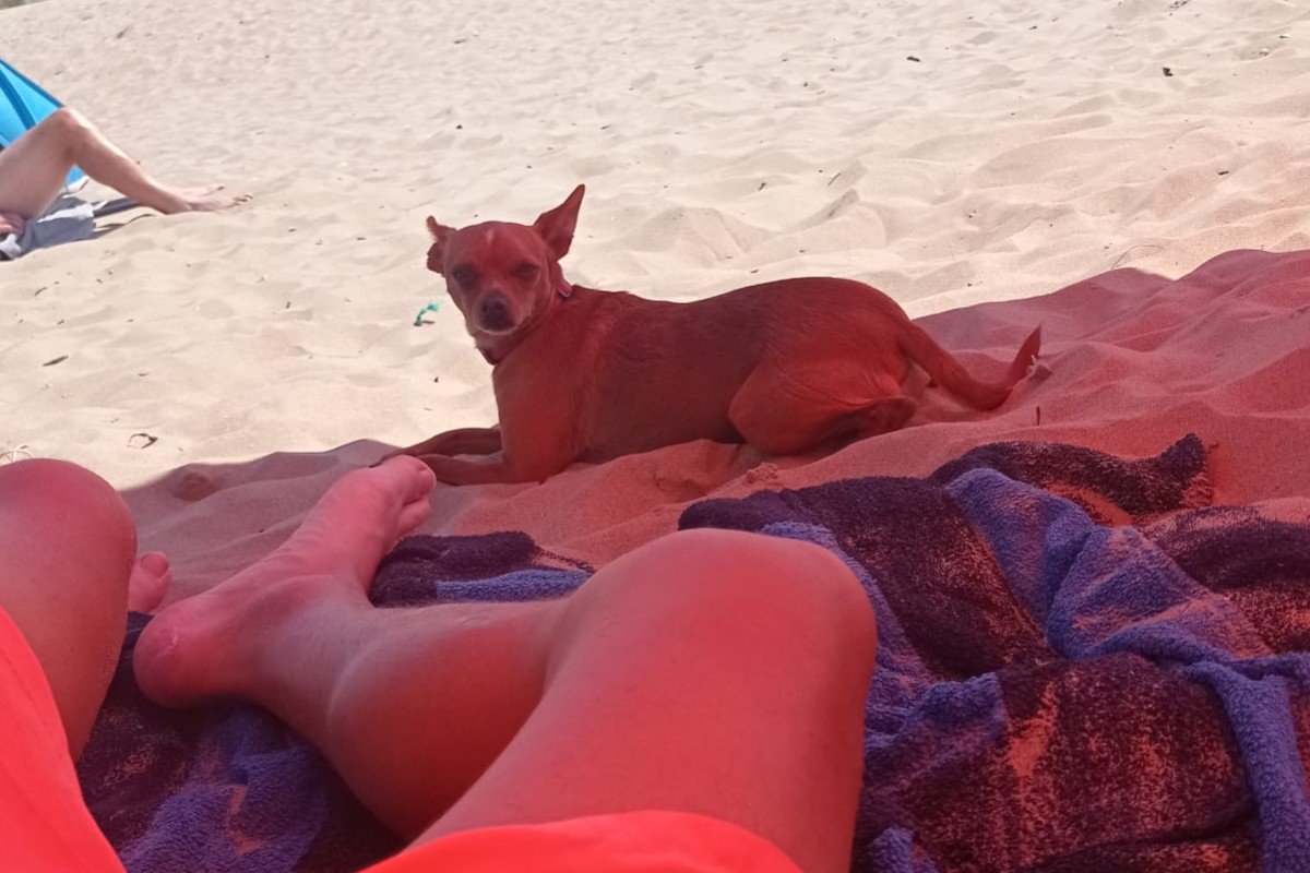 Sam