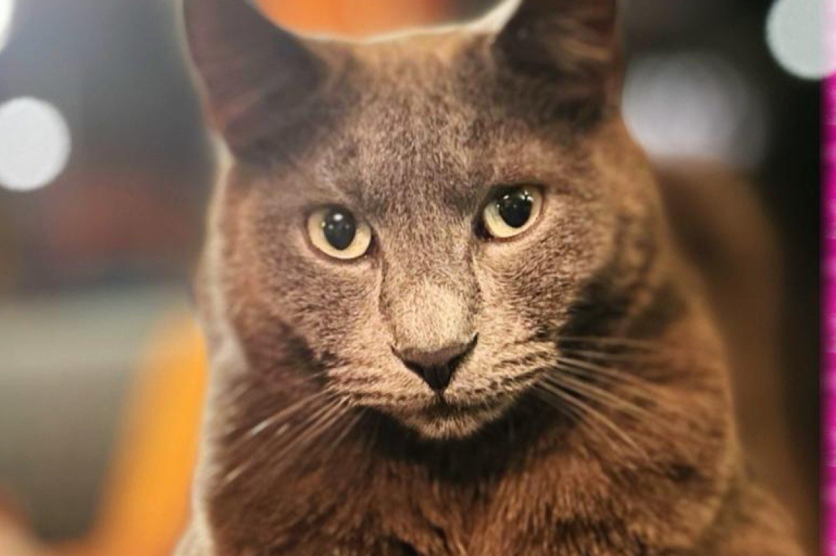 Billy