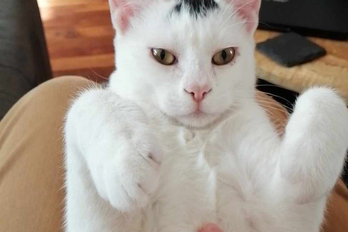 Sam