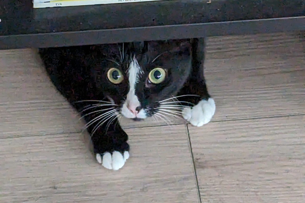 Boris