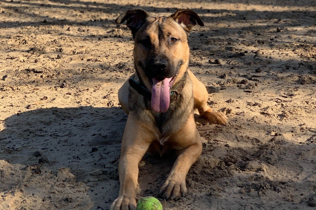Buster