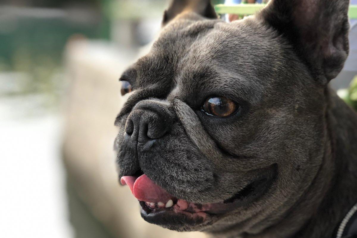 Lola