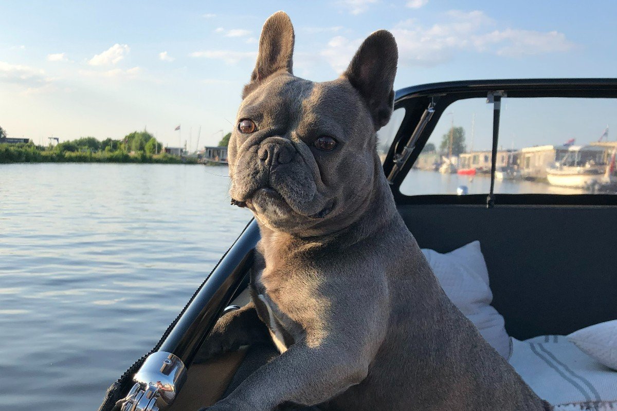 Lola